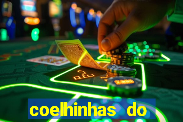 coelhinhas do brasil acompanhantes